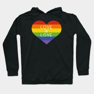 Love is Love. LGBTQ Hoodie